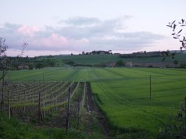 DSC03435.JPG