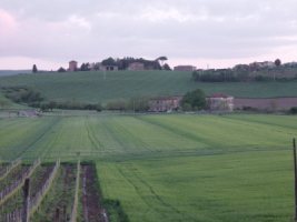 DSC03436.JPG