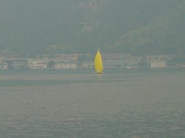 TN_DSC05539.JPG