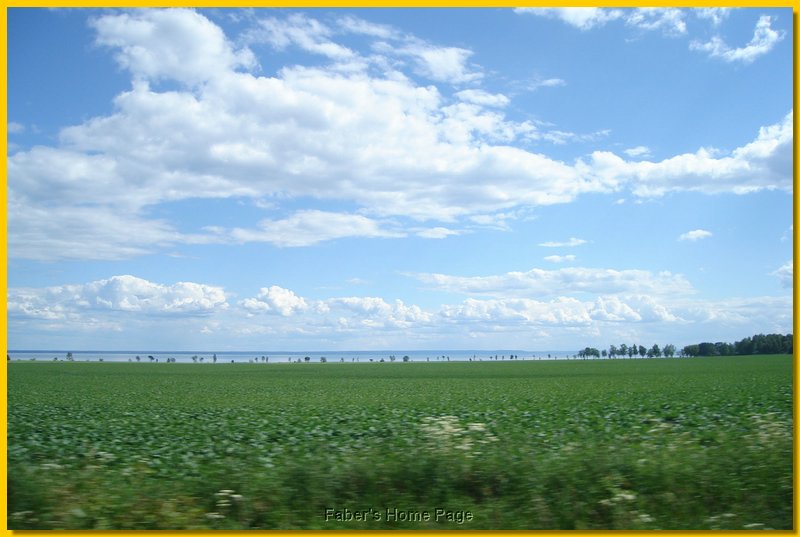 DSC04314.jpg