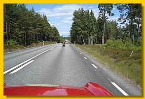 DSC04306.jpg