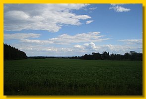 DSC04310.jpg