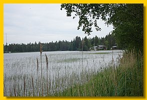 DSC04680.jpg