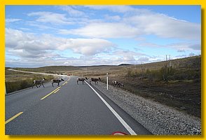 DSC05095.jpg
