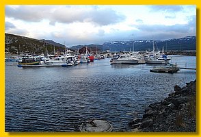 DSC05250.jpg