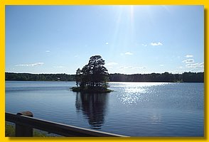 DSC06645.jpg