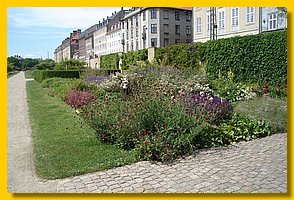 DSC06861.jpg