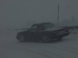 TN_DSC07846.JPG