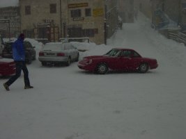 TN_DSC07847.JPG
