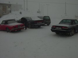 TN_DSC07849.JPG
