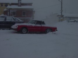 TN_DSC07853.JPG