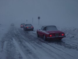 TN_DSC07856.JPG