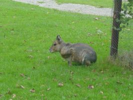 TN_DSC07285.JPG