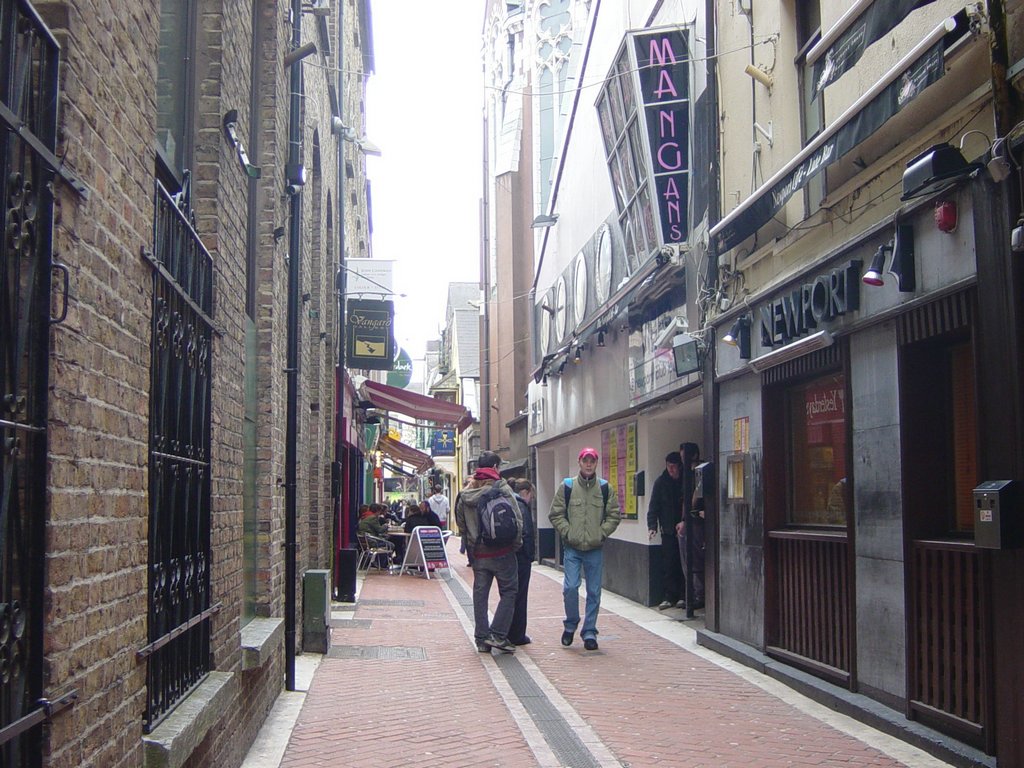DSC08271.JPG
