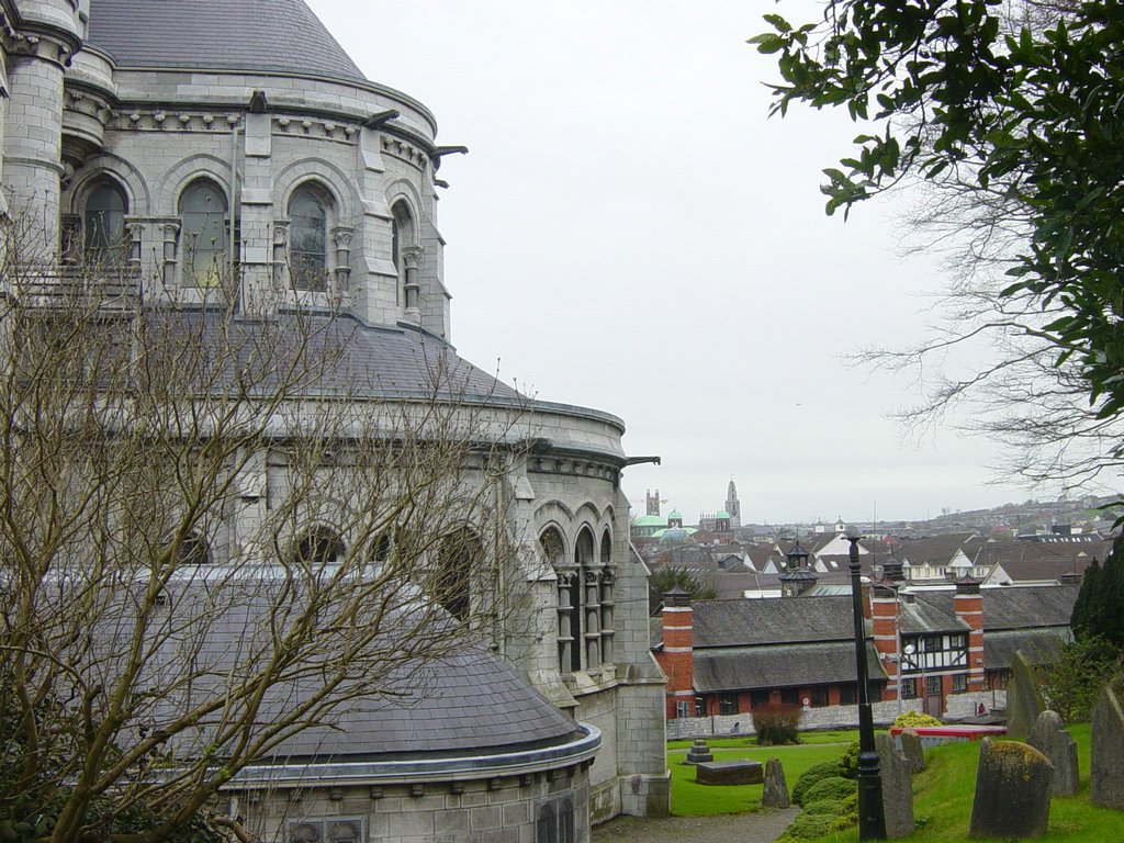 DSC08281.JPG