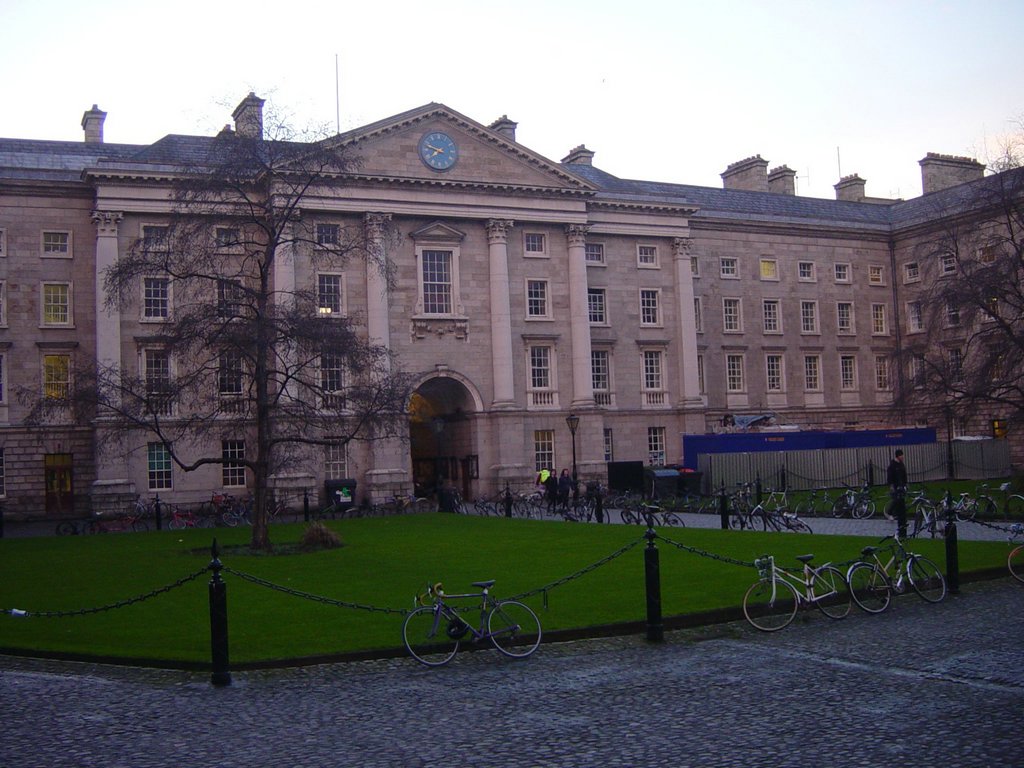 DSC08299.JPG