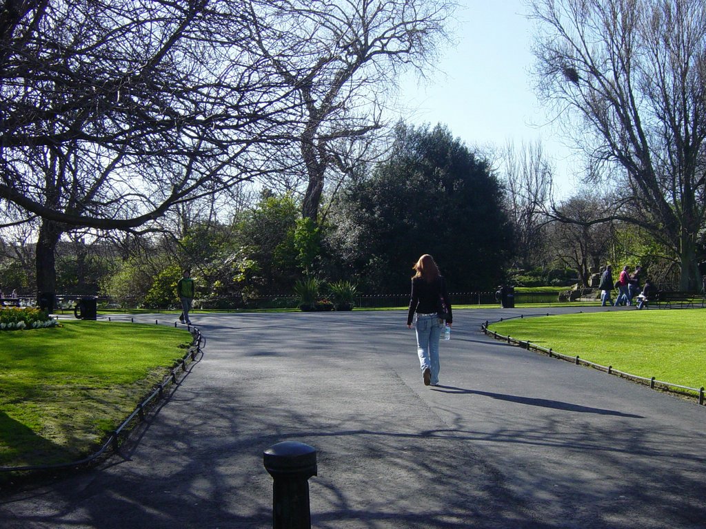 DSC08309.JPG