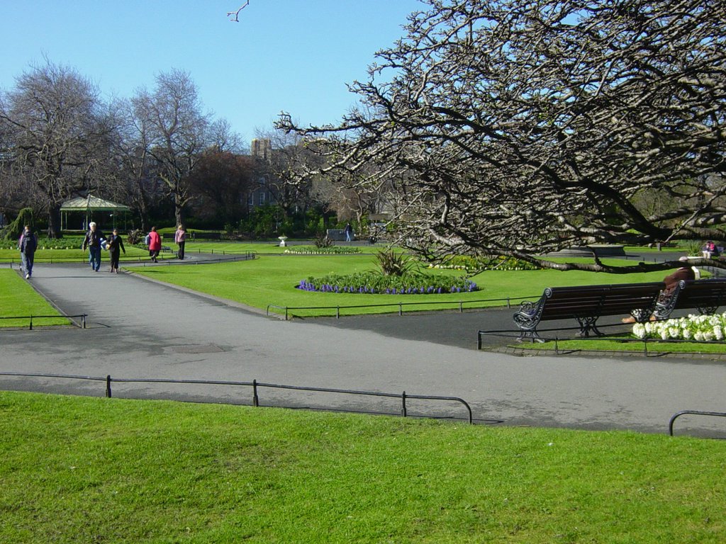 DSC08312.JPG