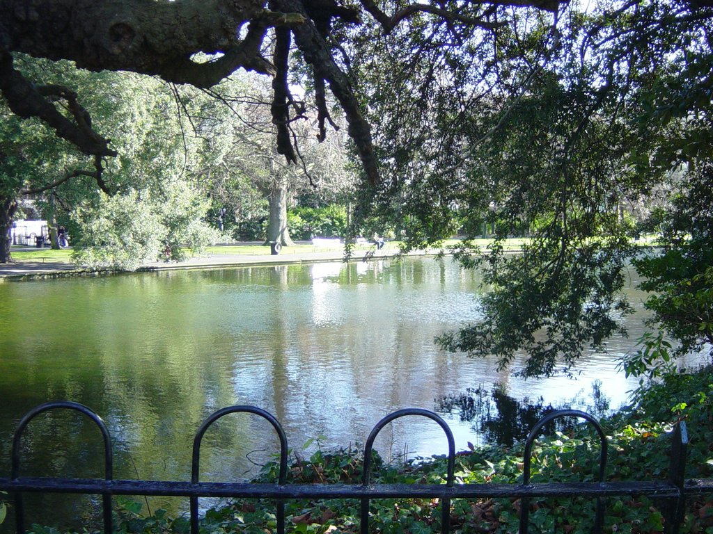 DSC08314.JPG