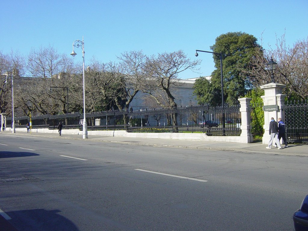 DSC08318.JPG