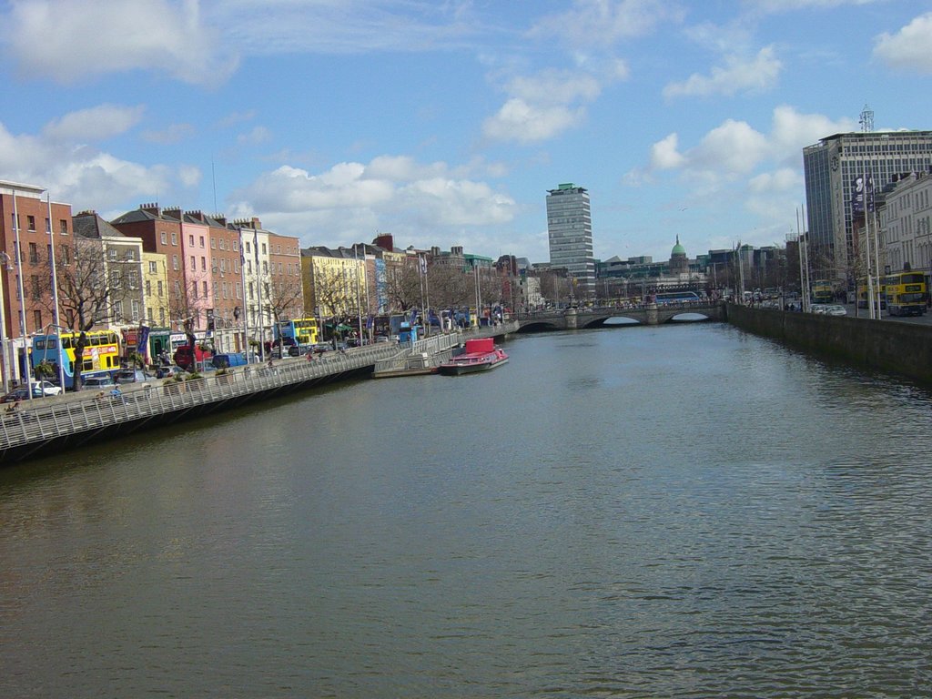DSC08331.JPG