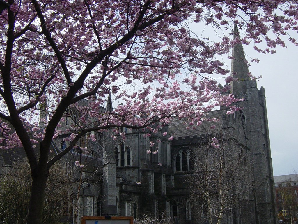 DSC08348.JPG