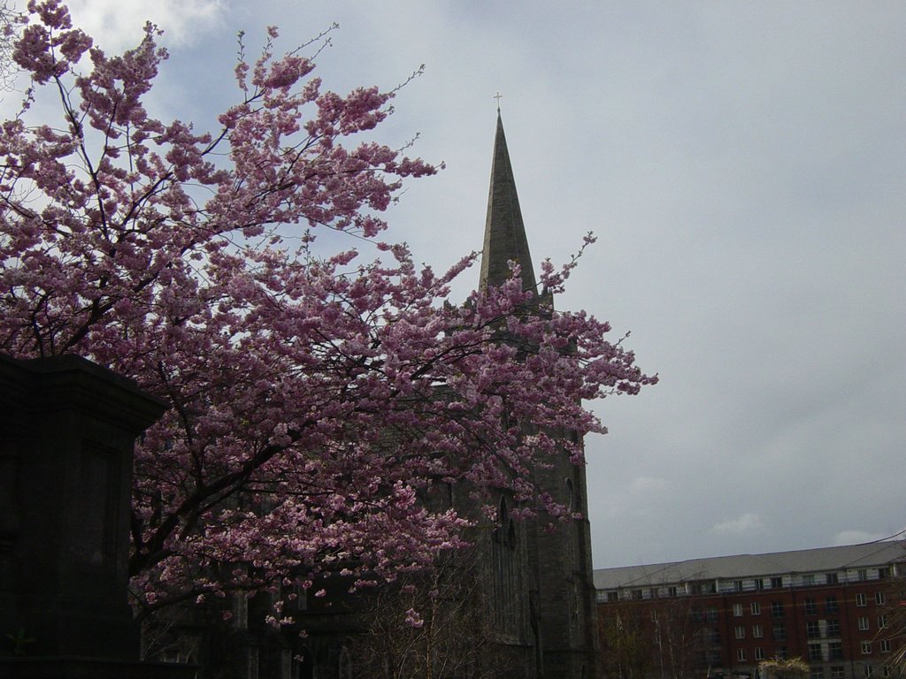 DSC08349.JPG