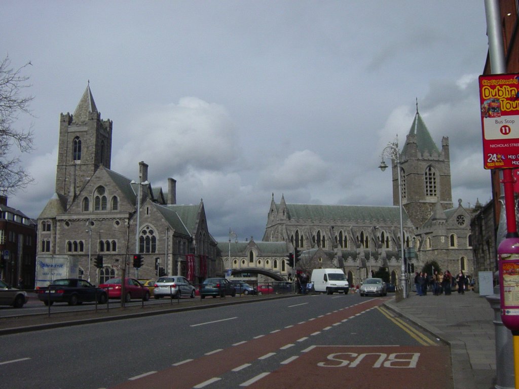 DSC08353.JPG