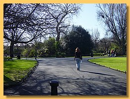 DSC08309.JPG