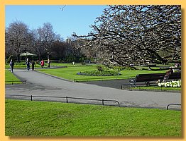 DSC08312.JPG