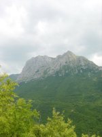 TN_DSC03970.JPG