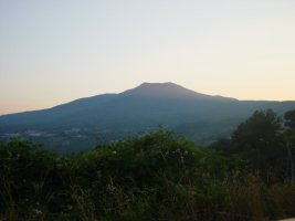 TN_DSC04282.JPG