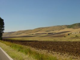 TN_DSC04475.JPG
