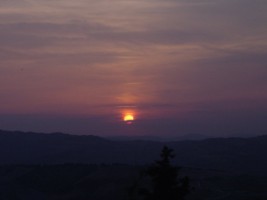 TN_DSC04551.JPG