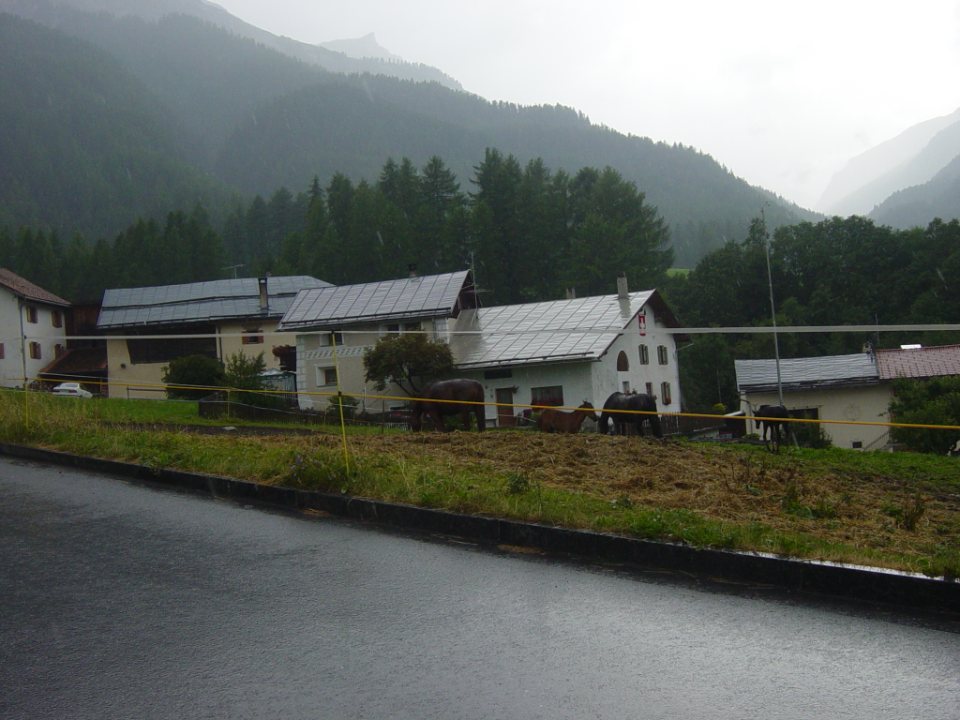 TN_DSC06364.JPG
