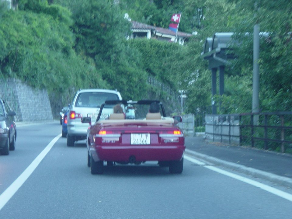 TN_DSC06490.JPG