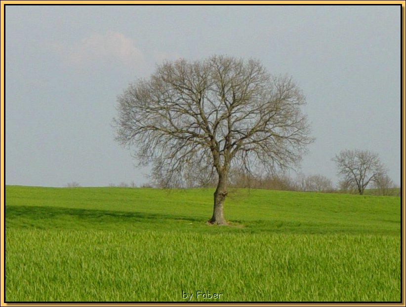 DSC00434.JPG