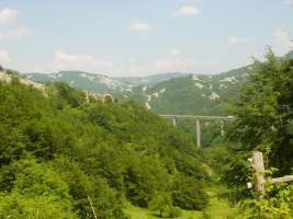TN_DSC06000.JPG