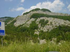 TN_DSC06004.JPG