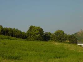 TN_DSC06039.JPG
