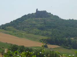 TN_DSC06048.JPG