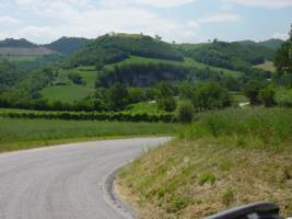 TN_DSC06068.JPG