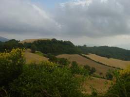 TN_DSC06080.JPG