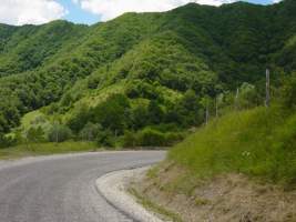 TN_DSC06095.JPG