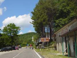 TN_DSC06101.JPG
