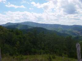 TN_DSC06102.JPG