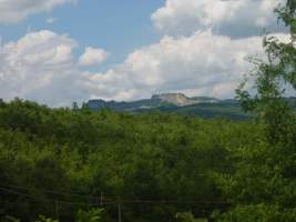 TN_DSC06104.JPG