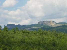 TN_DSC06105.JPG