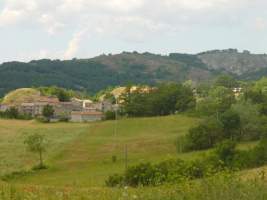 TN_DSC06110.JPG