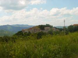 TN_DSC06113.JPG